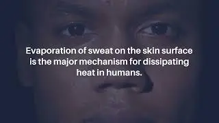Characterization of Age-associated Gene Expression Changes in Mouse Sweat Glands | Aging-US