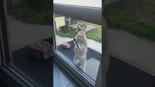 #доброеутро