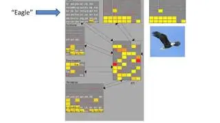 Using neural network models to study visual knowledge representation