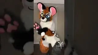 I don't want to be a FURRY 