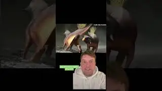 How did dinos have sex?!