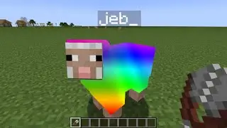 what if i shear the rainbow sheep?