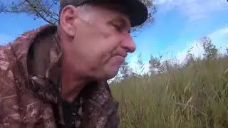ГОРСТЯМИ ЕЁ . Осенние дары с болота .