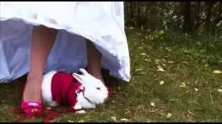 Svadobný zostrih Kajko & Ľubka - Námestovo