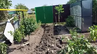НАС ТЕПЕРЬ ТРОЕ