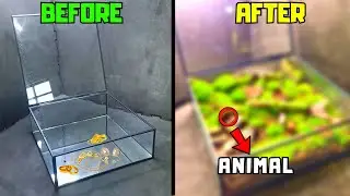 I put animals and plants in a jewelry box, THIS happened