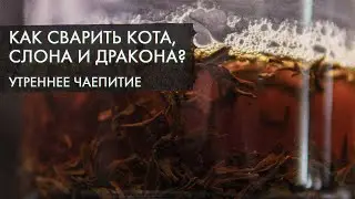Как сварить кота, слона и дракона? | Фирменные чаи от Art of Tea