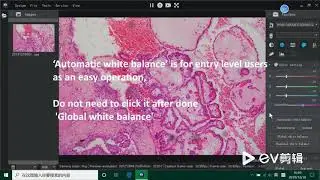 How to make white balance with Mshot software?