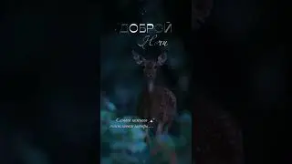 доброй ночи
