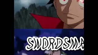 Luffy vs Zoro