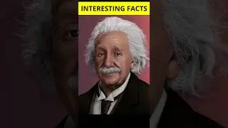 top 5 interesting facts     