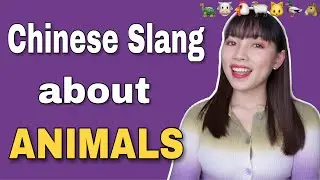 Chinese Slang about Animals - Free Chinese Lesson Vocabulary & Expressions