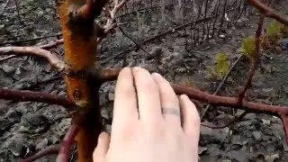 Обрезка 