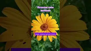 У тебя финансовые трудности? Решение есть! #бизнесонлайн #работадома