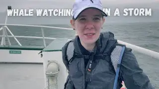 MINI DOCUMENTARY WHALE WATCHING JOURNEY | Cinematic TRAVEL
