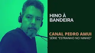 Hino a Bandeira - Pedro Amui