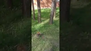 VID 20180516 WA0002