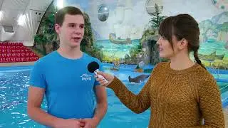 Сюжет НЕМО Харьков День Влюбленных