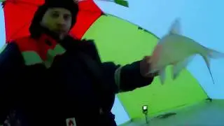 Зимняя ловля леща с эхолотом практик.2018 год.