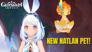 NEW FREE NATLAN PET! | Genshin Impact