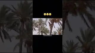 Bomdod namozi uchun budilnikni zo’ri 😍