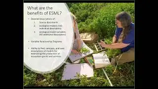 Using the EcoService Models Library