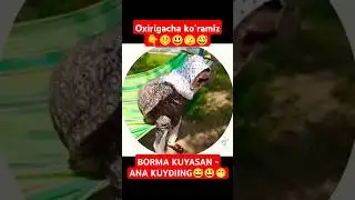 Xafa boʻlish yoʻq degan video 😅