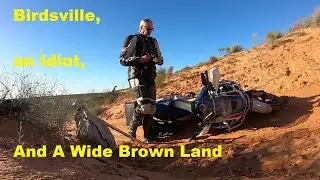Birdsville an Idiot and a Wide Brown Land
