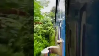 Finally Showing You train journey | Beautiful nature | Railway journey