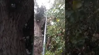 Nature's Way