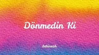 Dönmedin Ki - Şehinşah (Lyrics)