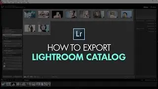 How to Export a LR Catalog