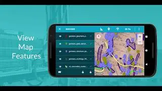 Discover Mobile - 2019