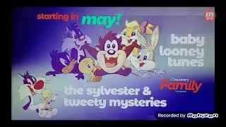 Discovery Family to air Baby Looney Tunes and The Sylvester & Tweety Mysteries.
