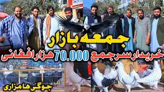چور شدن کفترهای جلال آباد...|کفترهای قیمتی افغانستان_ در جمعه بازار|فروش دست بند 70.000 هزار افغانی