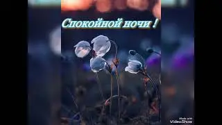 Чәчкәләр таратам