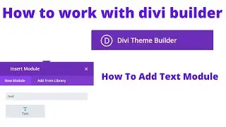 how to work with divi builder | how to add text module in divi | divi theme tutorial