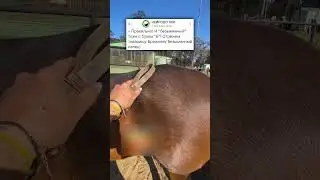 ТАКИЕ СЕБЕ РАЗВЛЕЧЕНИЯ🤣 