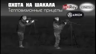 Отстрел шакала в Волгоградской степи.
