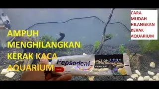 Cara membersihkan kerak kaca aquarium(cara murah dan mudah banget)