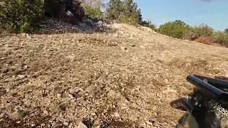 Did the pond hold any water at all?