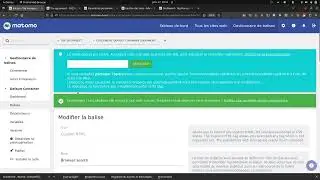 An example of how to use Matomo with chatgpt