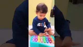 Melody Master with Xylophone #cutebaby #piyano #xylophone #learning #music #bestmusic