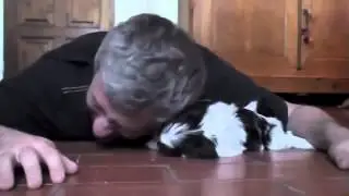 Так начинается настоящая дружба ))