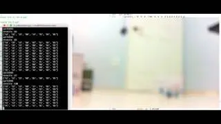hexa-copter contol test from for raspberry-pi