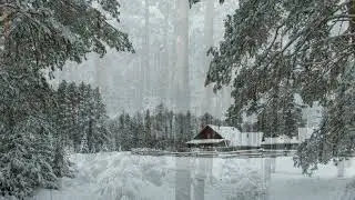 НА СВИДАНИЕ стихи Ларисы Гавриковой читает Д Канунов