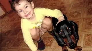 Моя такса.Собачка из резинок Rainbow Loom Bands.My dog. Подарки Поделки Игрушки Идеи рукоделия