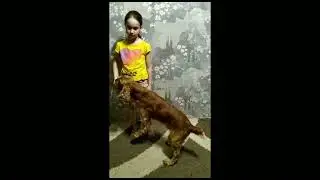 WhatsApp Video 2021 12 20 at 11 13 52