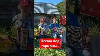 На лавочке с гармошкой. Жизненная песня А.Лихацкого.👍 Зрители слышат впервые. #лихацкий
