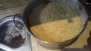 Рецепт корма для стерляди в моём УЗВ.